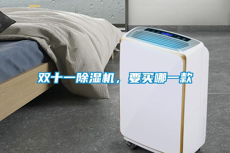 雙十一除濕機(jī)，要買哪一款