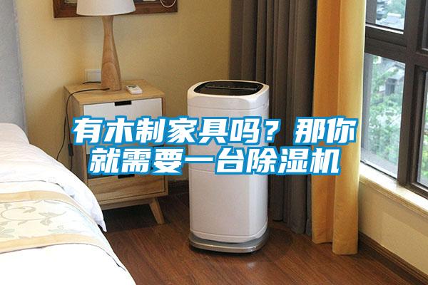 有木制家具嗎？那你就需要一臺(tái)除濕機(jī)