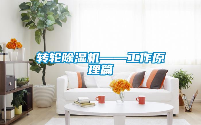 轉(zhuǎn)輪除濕機——工作原理篇