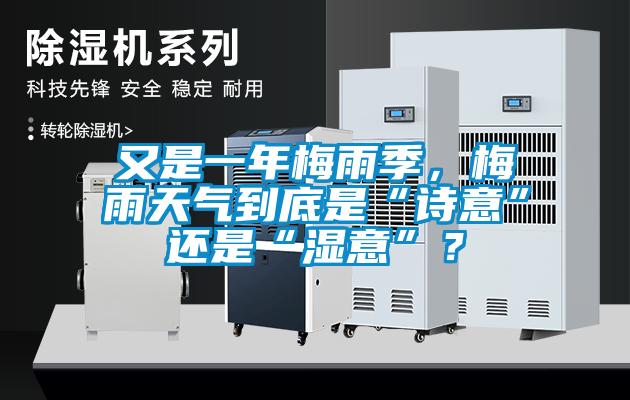 又是一年梅雨季，梅雨天氣到底是“詩意”還是“濕意”？
