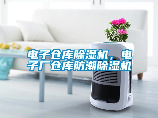 電子倉(cāng)庫(kù)除濕機(jī)，電子廠倉(cāng)庫(kù)防潮除濕機(jī)