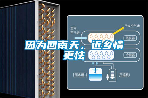 因?yàn)榛啬咸?，近鄉(xiāng)情更怯