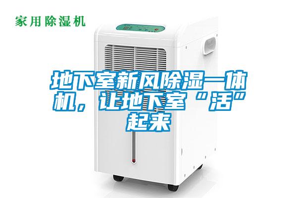 地下室新風(fēng)除濕一體機(jī)，讓地下室“活”起來