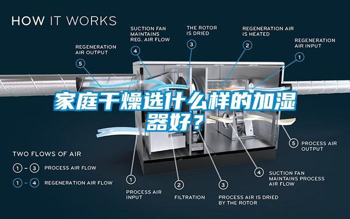 家庭干燥選什么樣的加濕器好？