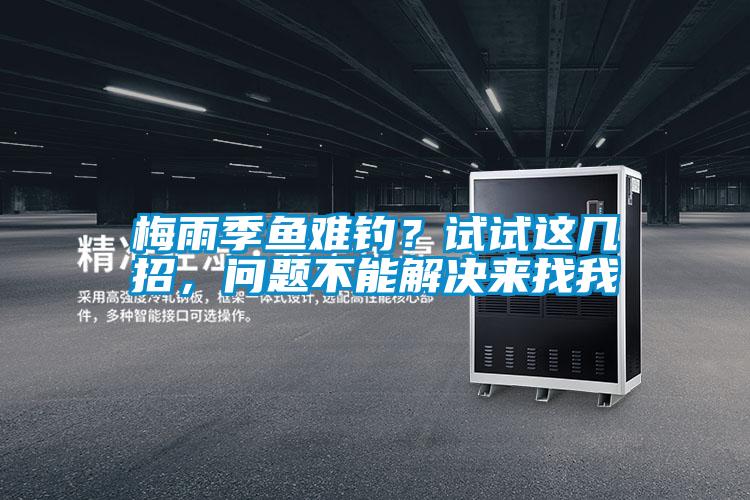 梅雨季魚難釣？試試這幾招，問題不能解決來找我