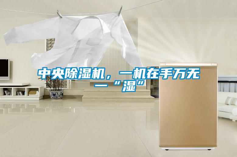 中央除濕機(jī)，一機(jī)在手萬(wàn)無(wú)一“濕”