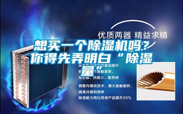 想買一個除濕機嗎？你得先弄明白“除濕量”