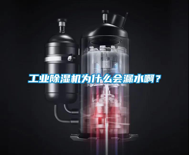工業(yè)除濕機(jī)為什么會(huì)漏水?。?/></p>
                              <p style=