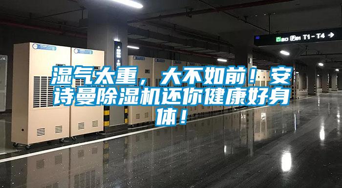 濕氣太重，大不如前！安詩曼除濕機還你健康好身體！