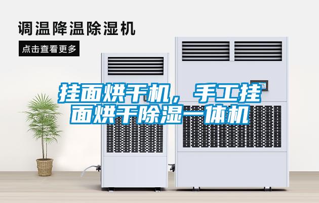 掛面烘干機(jī)，手工掛面烘干除濕一體機(jī)