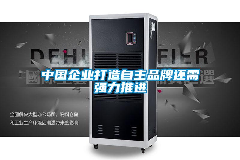 中國企業(yè)打造自主品牌還需強(qiáng)力推進(jìn)