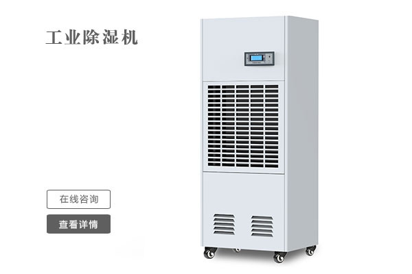 舞獅慶新春，開(kāi)門滿堂紅