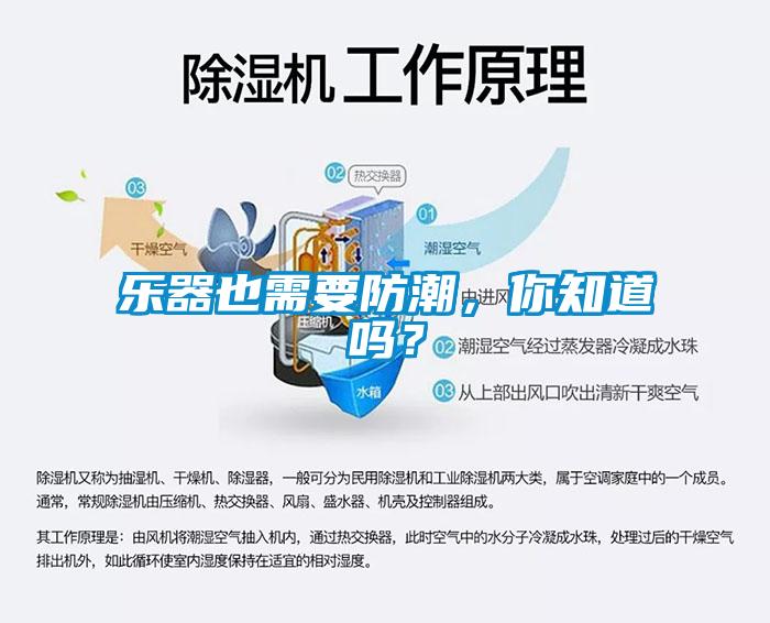 樂器也需要防潮，你知道嗎？