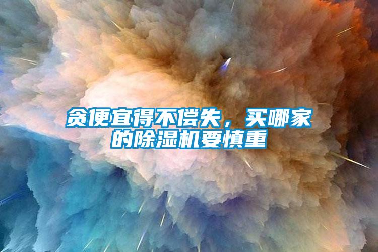 貪便宜得不償失，買哪家的除濕機要慎重