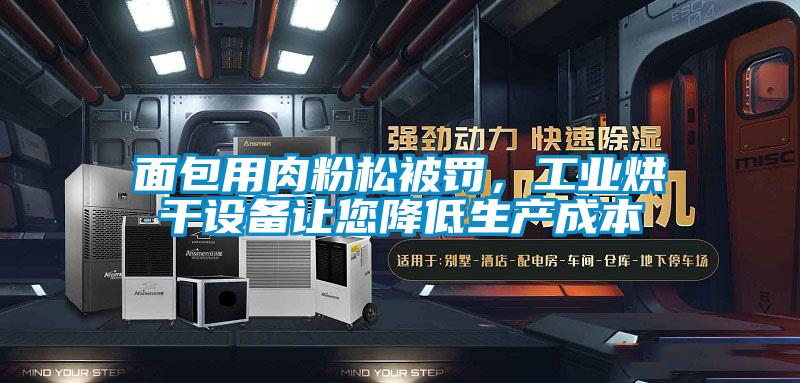 面包用肉粉松被罰，工業(yè)烘干設(shè)備讓您降低生產(chǎn)成本
