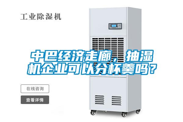 中巴經(jīng)濟(jì)走廊，抽濕機(jī)企業(yè)可以分杯羹嗎？
