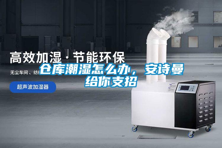 倉(cāng)庫(kù)潮濕怎么辦，安詩(shī)曼給你支招