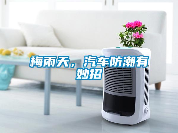 梅雨天，汽車防潮有妙招