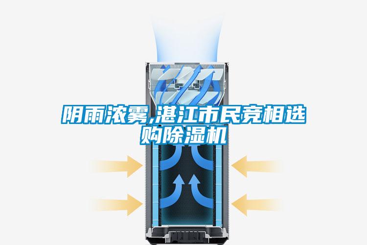 陰雨濃霧,湛江市民競相選購除濕機(jī)