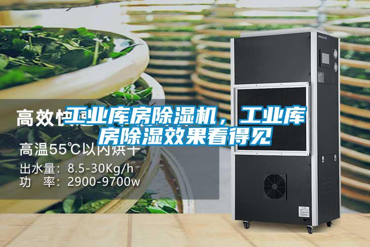 工業(yè)庫(kù)房除濕機(jī)，工業(yè)庫(kù)房除濕效果看得見(jiàn)