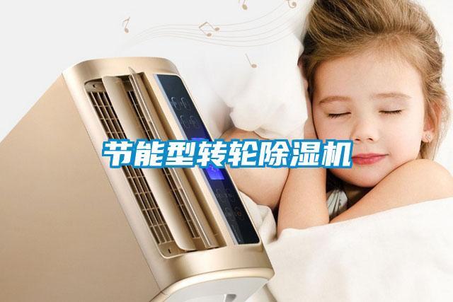 節(jié)能型轉輪除濕機