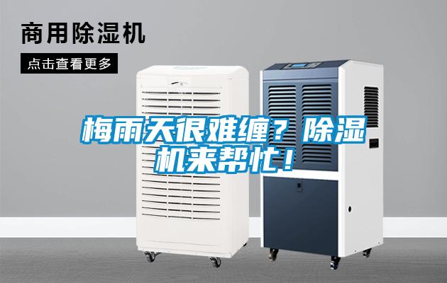 梅雨天很難纏？除濕機來幫忙！