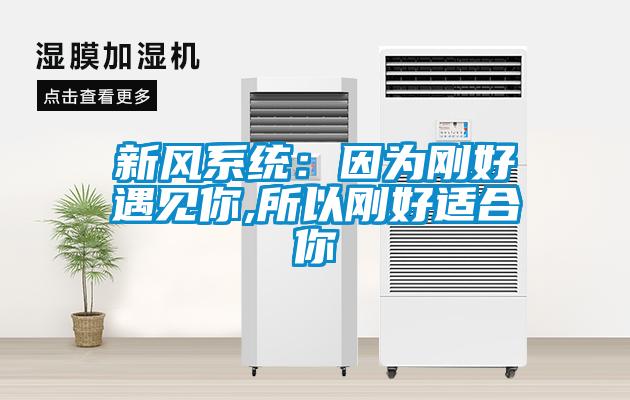 新風(fēng)系統(tǒng)：因?yàn)閯偤糜鲆?jiàn)你,所以剛好適合你