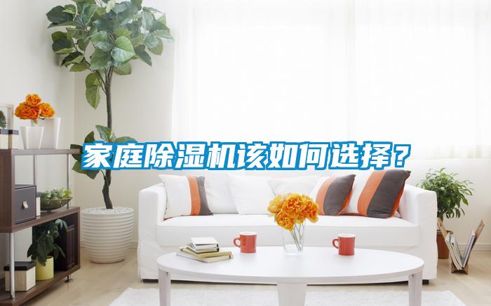 家庭除濕機該如何選擇？