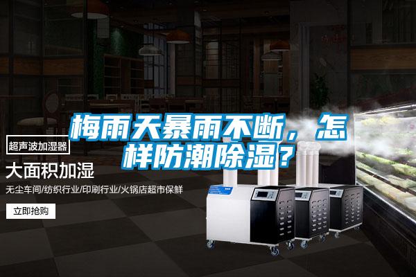 梅雨天暴雨不斷，怎樣防潮除濕？