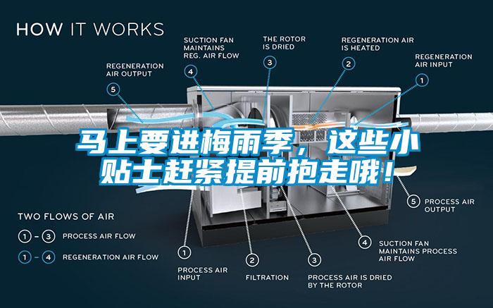 馬上要進(jìn)梅雨季，這些小貼士趕緊提前抱走哦！