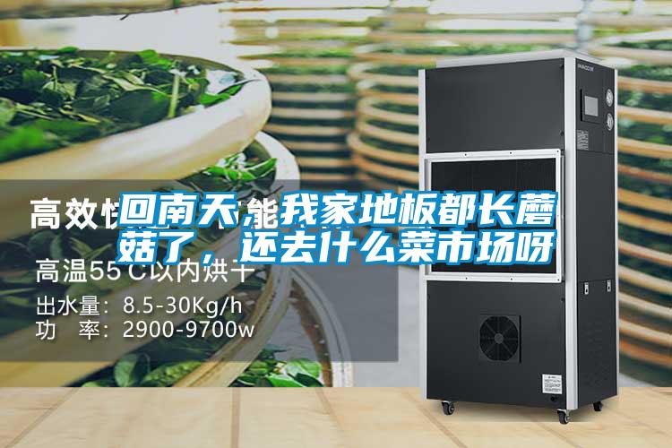 回南天，我家地板都長蘑菇了，還去什么菜市場呀