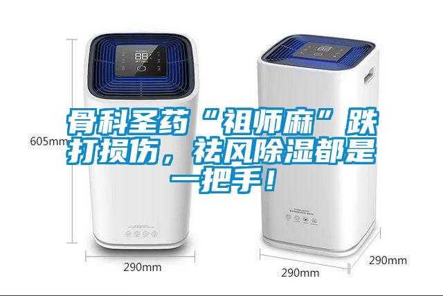 骨科圣藥“祖師麻”跌打損傷，祛風(fēng)除濕都是一把手！