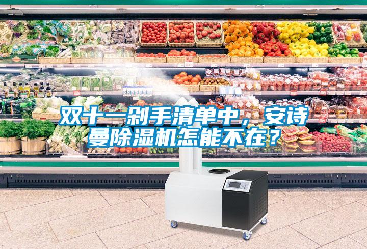 雙十一剁手清單中，安詩曼除濕機怎能不在？