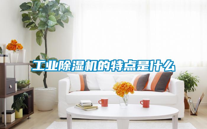 工業(yè)除濕機(jī)的特點(diǎn)是什么