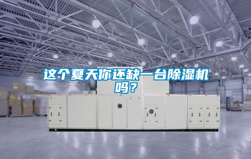 這個夏天你還缺一臺除濕機嗎？