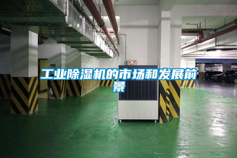 工業(yè)除濕機的市場和發(fā)展前景