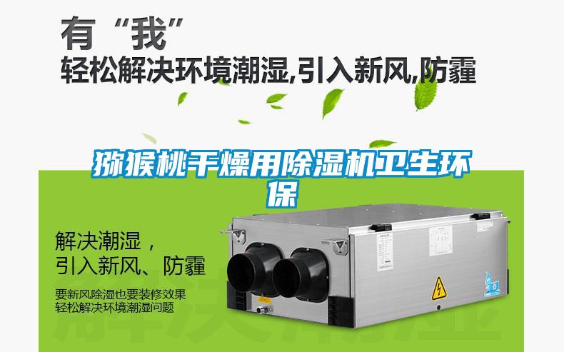 獼猴桃干燥用除濕機衛(wèi)生環(huán)保