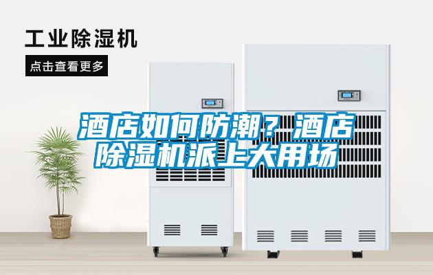 酒店如何防潮？酒店除濕機派上大用場