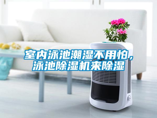 室內(nèi)泳池潮濕不用怕，泳池除濕機(jī)來除濕