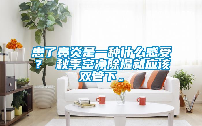 患了鼻炎是一種什么感受？ 秋季空凈除濕就應(yīng)該雙管下。