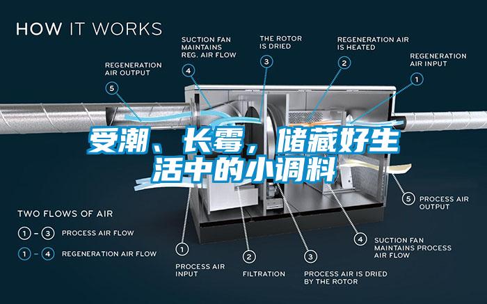 受潮、長霉，儲藏好生活中的小調(diào)料