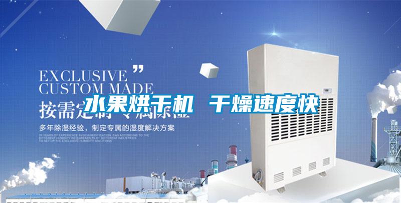 水果烘干機(jī) 干燥速度快