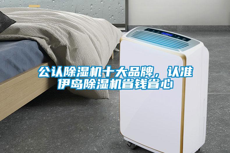 公認(rèn)除濕機(jī)十大品牌，認(rèn)準(zhǔn)伊島除濕機(jī)省錢省心