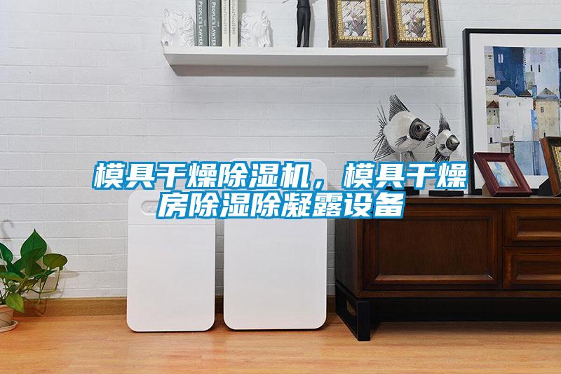 模具干燥除濕機(jī)，模具干燥房除濕除凝露設(shè)備