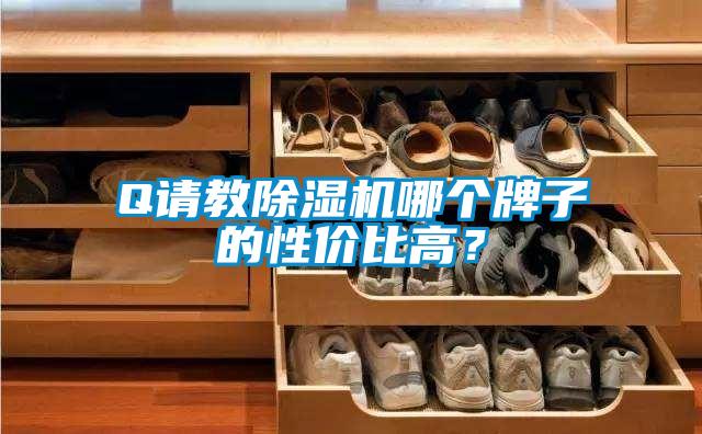 Q請教除濕機(jī)哪個(gè)牌子的性價(jià)比高？