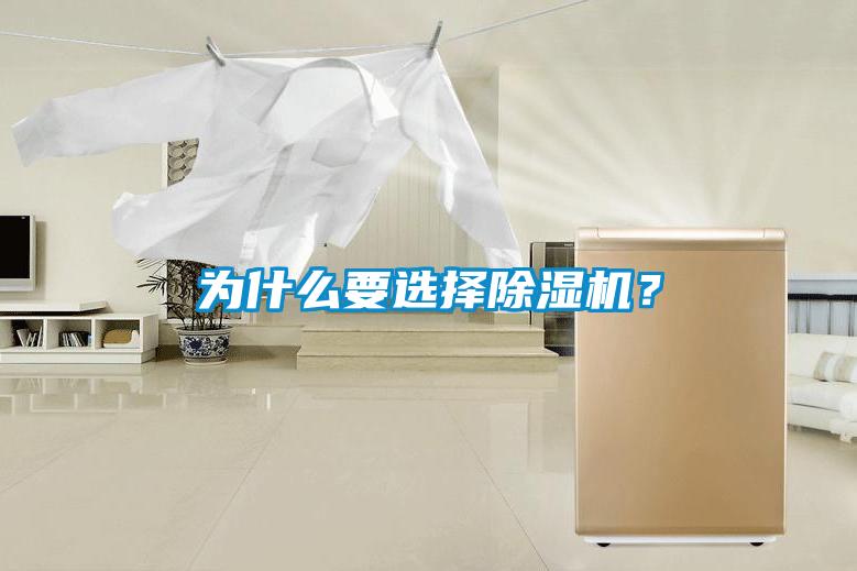 為什么要選擇除濕機(jī)？