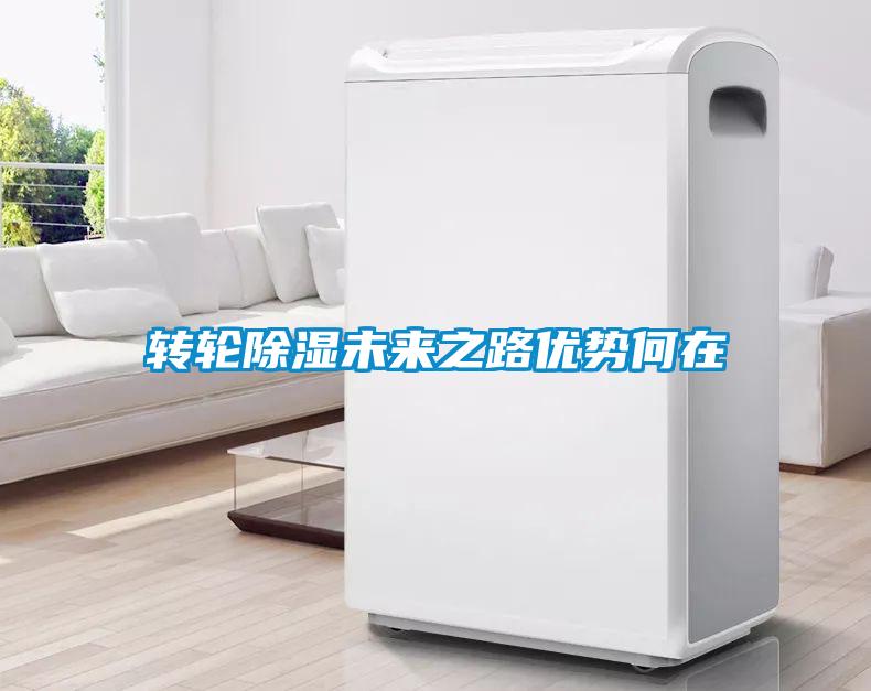 轉(zhuǎn)輪除濕未來(lái)之路優(yōu)勢(shì)何在
