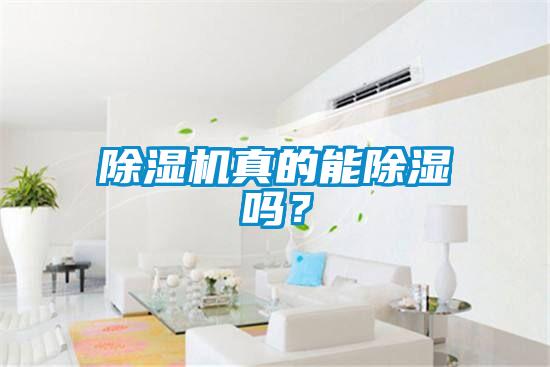 除濕機(jī)真的能除濕嗎？