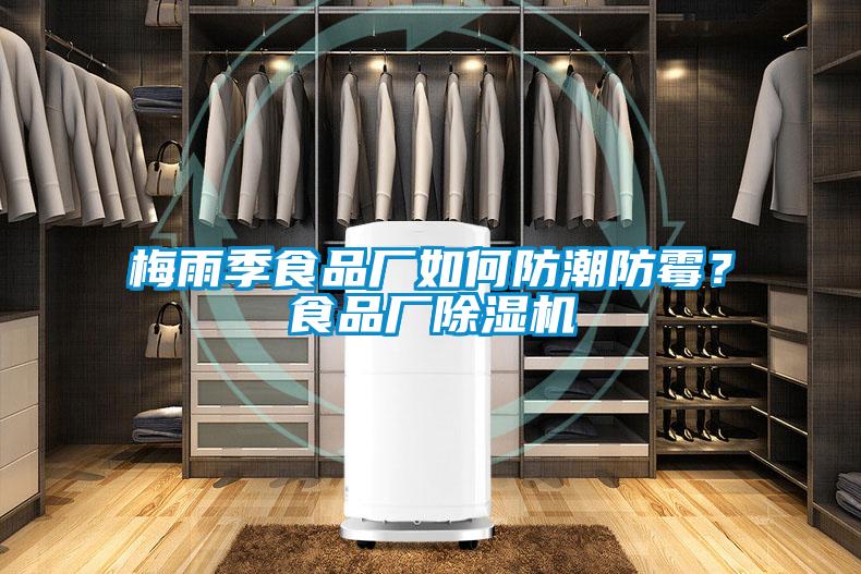 梅雨季食品廠如何防潮防霉？食品廠除濕機(jī)