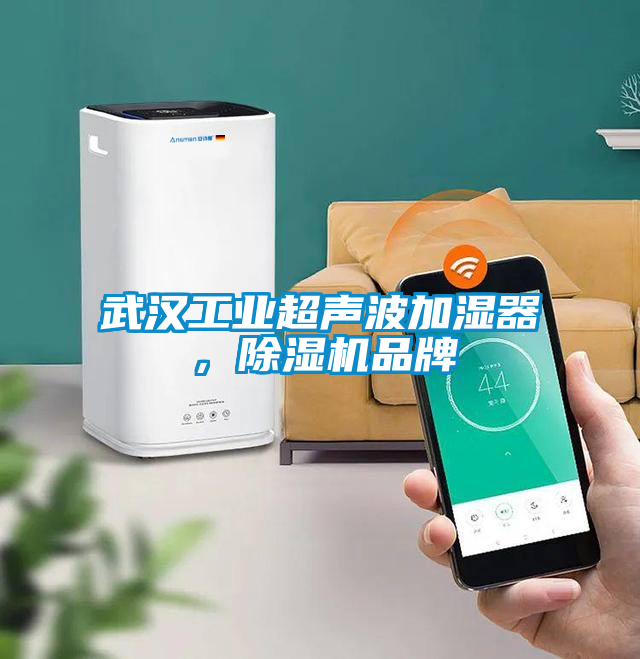 武漢工業(yè)超聲波加濕器，除濕機(jī)品牌